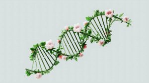 How Much of Longevity is Genetic